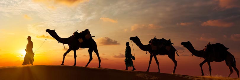 Rajasthan India