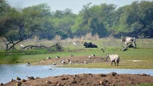 Bharatpur