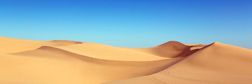 Desert in Rajasthan
