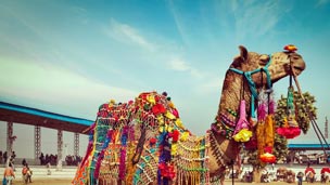 Fairs and Festivals
